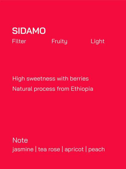 MUSE 咖啡豆｜埃塞俄比亞｜罕貝拉 Hambela